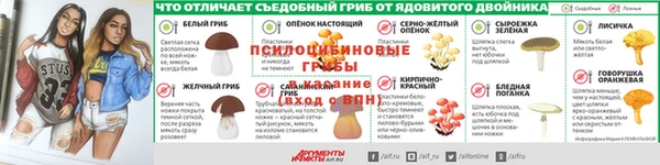 прущие грибы Гусиноозёрск