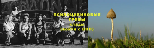 экстази Переславль-Залесский