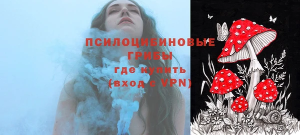 прущая мука Пестово