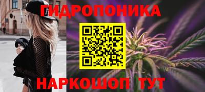 гидропоника Гусиноозёрск