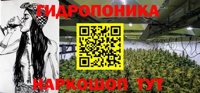 бошки Гусев