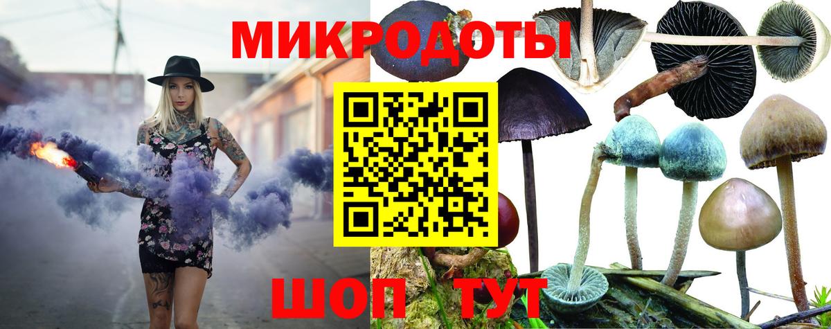 Кунгур  сколько стоит  Вход с VPN  Галлюциногенные грибы Magic Shrooms 
