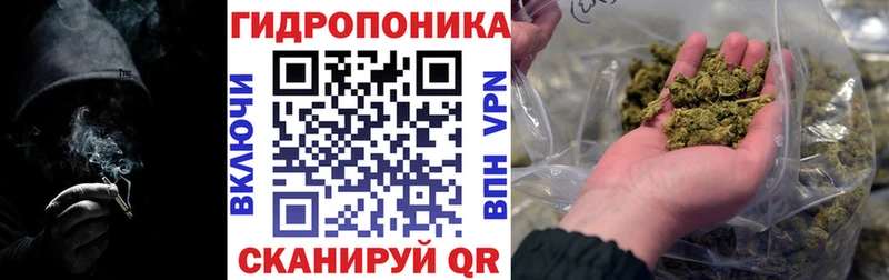 Бошки Шишки индика где продают наркотики darknet клад Кунгур